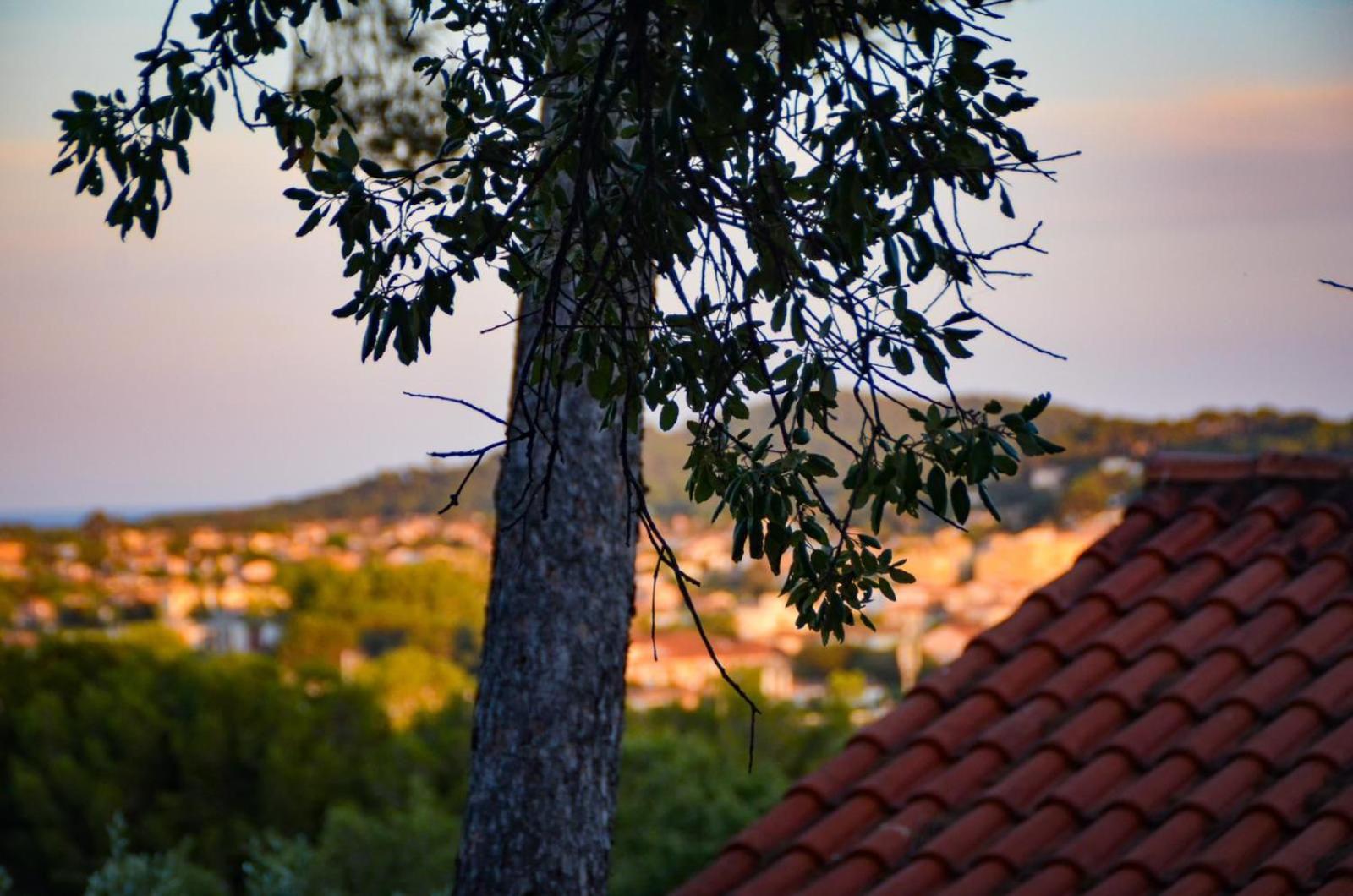 La Solane - Grande Maison Sous Les Pins Six-Fours-les-Plages Exterior foto