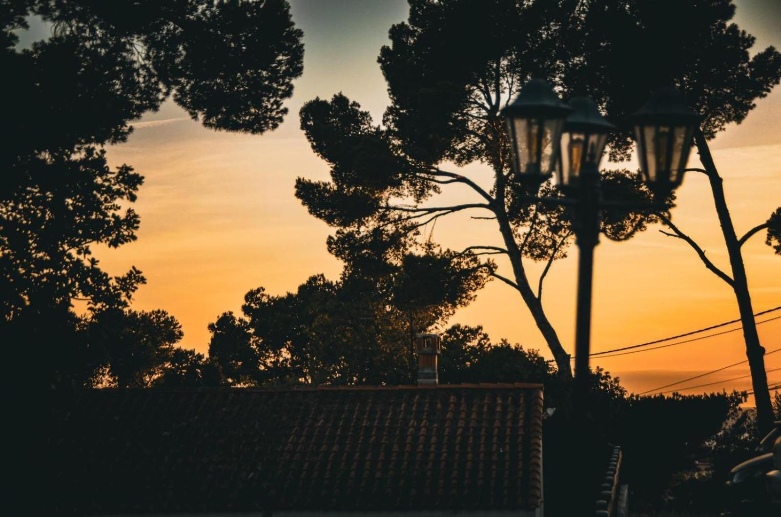 La Solane - Grande Maison Sous Les Pins Six-Fours-les-Plages Exterior foto
