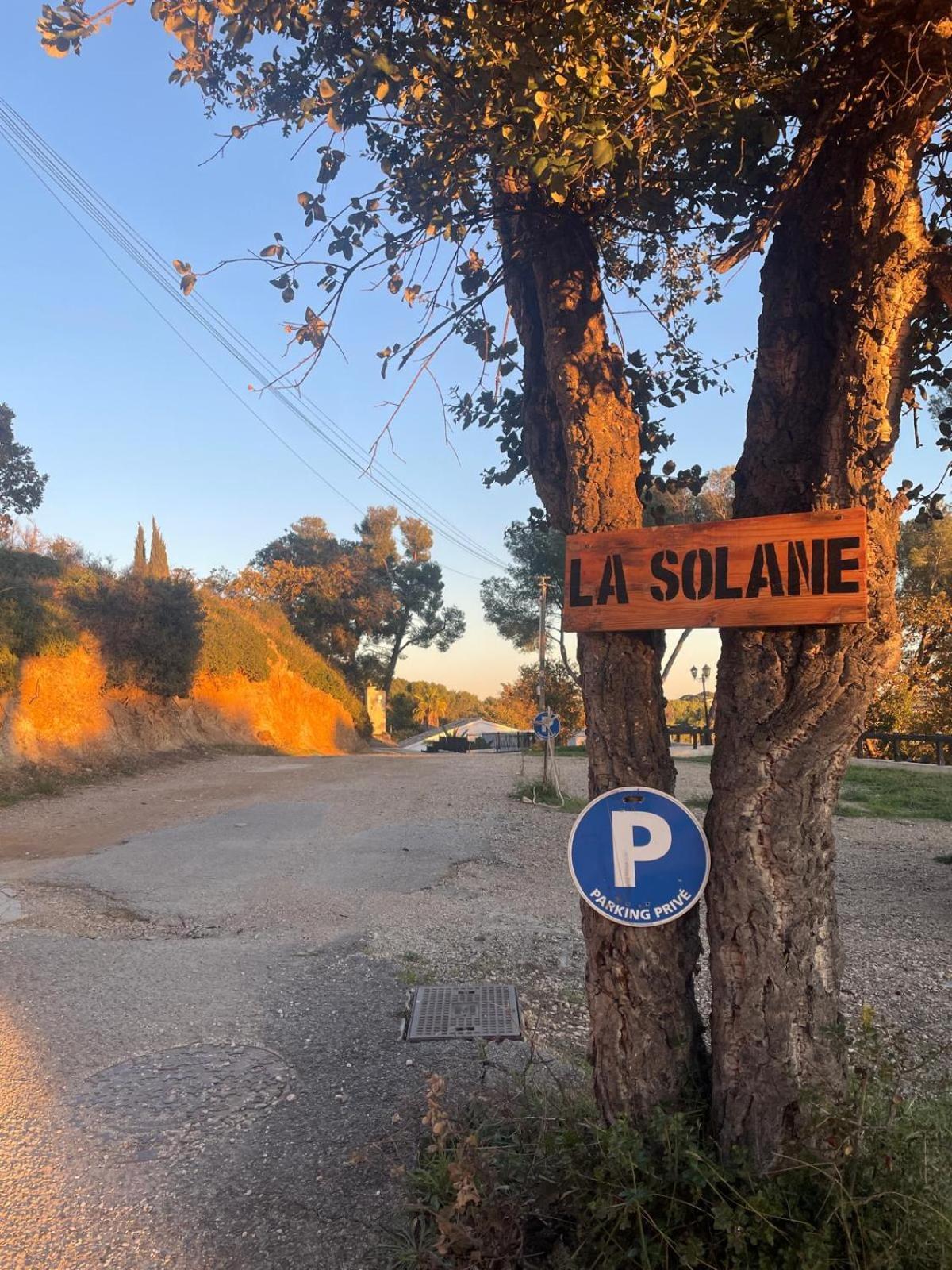 La Solane - Grande Maison Sous Les Pins Six-Fours-les-Plages Exterior foto